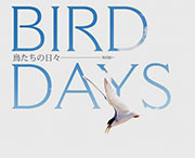BIRD DAYS 鳥たちの日々