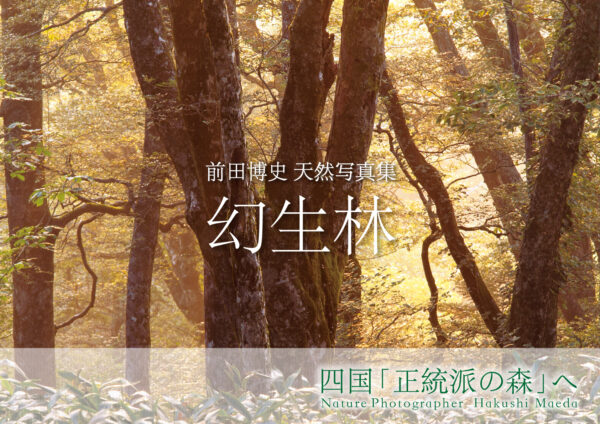前田博史 天然写真集 幻生林 四国「正統派の森」へ
