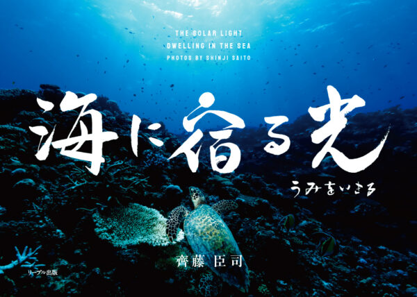 海に宿る光 うみをいきる