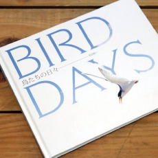 『鳥たちの日々BIRD DAYS』