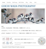 野鳥写真家　和田剛一のホームページ