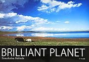 BRILLIANT PLANET