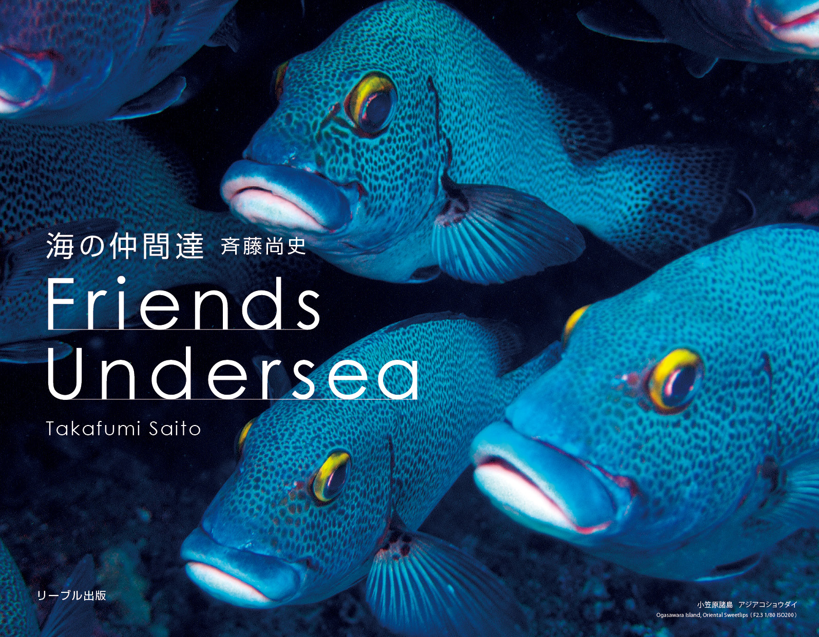 C̒ԒBFriends Undersea